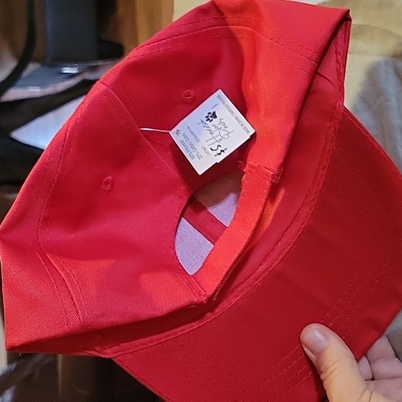 Hat - Picture 2 of 2